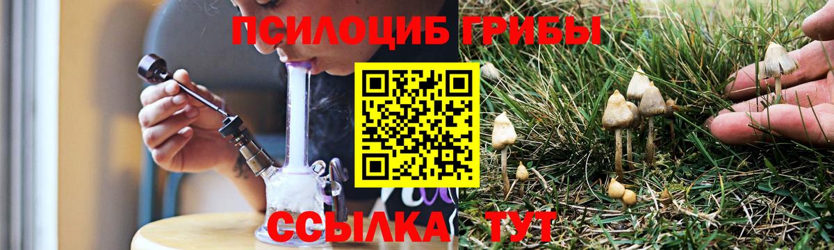 Алушта  Галлюциногенные грибы MAGIC MUSHROOMS  Вход с VPN  Псилоцибиновые грибы GOLDEN TEACHER 