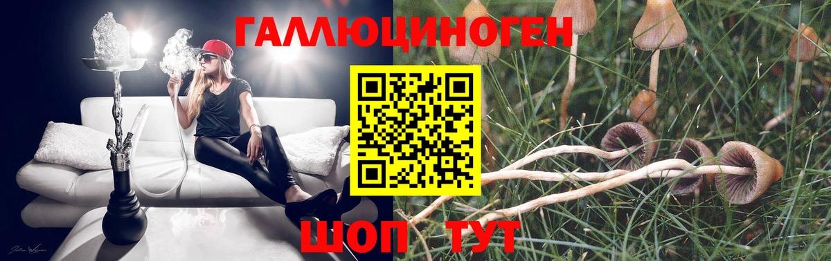 Галлюциногенные грибы ЛСД Алушта